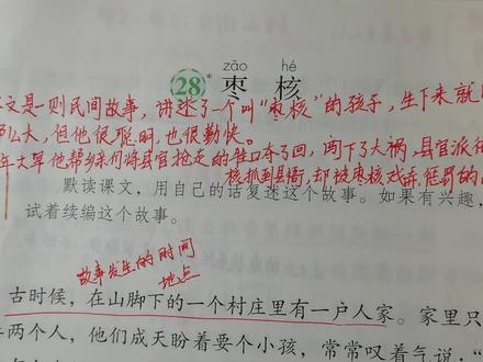 跟我读三年级语文下册《枣核》,附课堂笔记