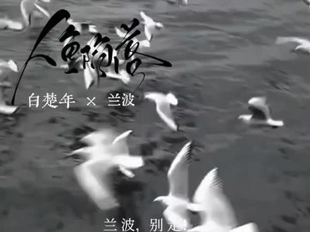 “兰波!别走!”#人鱼陷落#白楚年兰波 #无糖纯刀#白兰地