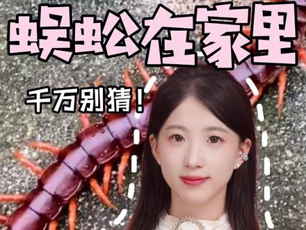 在家碰见蜈蚣该怎么办?