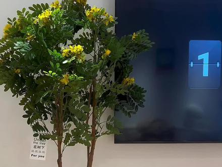 开机无广告!真实使用一个月雷鸟电视真实体验太香了!#智能电视 #雷鸟电视 #高性价比电视推荐 #电视原来还可以这样 #智能家居