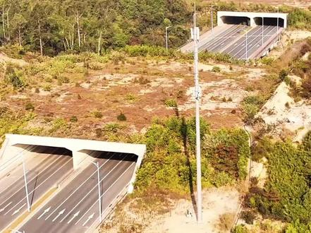 隧道我们见多了,但没有山压着的隧道你有见过吗?你知道建成这样又有什么用途吗#隧道 #隧道工程 #抖音看世界 #内容启发搜索