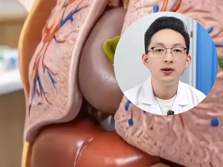 身体的5大器官最怕什么?一条视频告诉你#身体器官#养胃#护心#肝#抖出健康知识宝藏