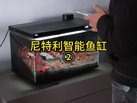 尼特利智能鱼缸2 回复一下大家关于尼特利智能鱼缸比较关心的问题#尼特利智能鱼缸 #智能鱼缸 #养鱼 #水草缸