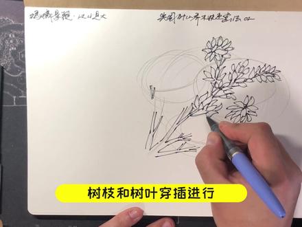 【景观手绘】前景植物油橄榄画法