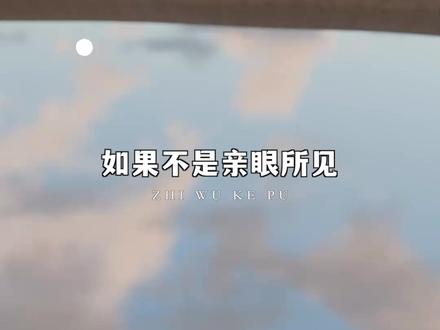 原来芦苇也能制盐! #传统手工艺 #芦苇制盐#科普动画#百young非遗计划@知物科普