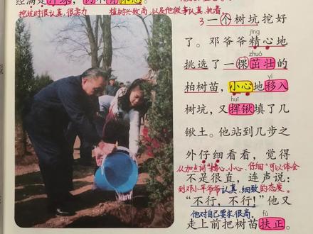 #小学语文 二年级下册第4课《邓小平爷爷植树》