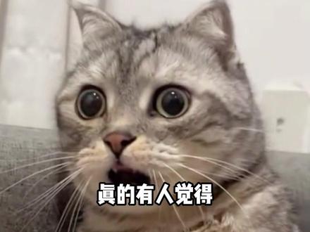 如何快速分清真假椰子水 #椰子水 #315 #塌房 #食品安全 #椰子水低价大战乱象调查