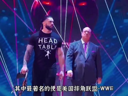 【摔角≠摔跤】WWE中那些不知道你的那些事 #WWE #揭秘 #奥斯汀理论 #摔角 #热血