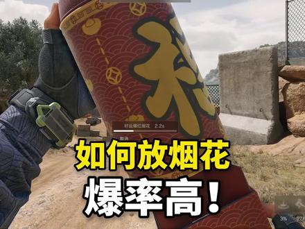 答案肯定会震惊你!#三角洲行动 #三角洲烟花