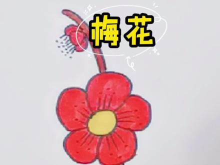 一画腊梅就想起来嬛嬛#简笔画 #简笔画教程 #零基础学画画 #幼儿简笔画 #儿童简笔画 #抖音小助手 #抖音青少年 #逆风如解意