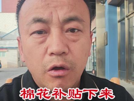 棉花补贴,现在感觉不是那么多,怎么算的 #棉农 #陆俊吉 #农多收
