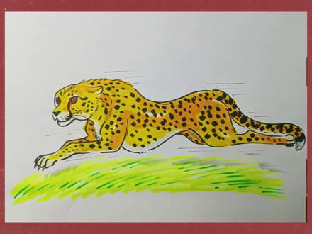 【动物】绘画教程,画一只猎豹。#画画#绘画#猎豹#动物#绘画教程