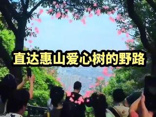 惠山爱心树在哪?告诉你一条野路直达爱心树,不用去挤人挨人的台阶路。#爬山 #户外 #无锡 #旅行推荐官 #徒步