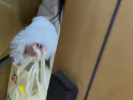 一个懂你的奇奇怪怪的“奇女子” #我们的故事