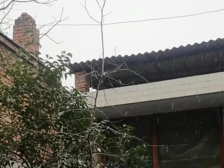 不是雪,是霰哦…#你的城市下雪了吗