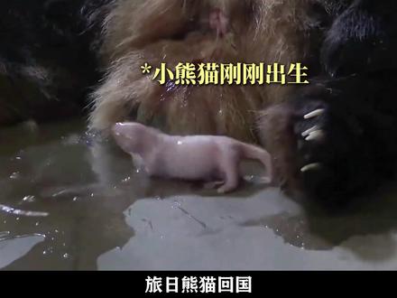 看完电影,记得给身边人一个拥抱。 #熊猫计划之部落奇遇记