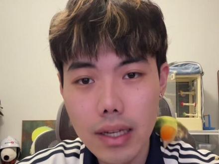 怎么跟刚到家的鹦鹉正确相处 #鹦鹉 #新手养鸟 #新手养鸟攻略 #鹦鹉小白 #养鸟经验分享