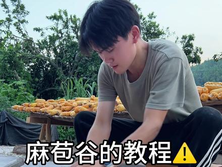 麻苞谷的教程⚠️#玉米