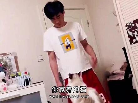 你家猫为什么喜欢男性更多一些#猫咪 #科普