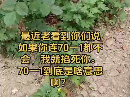 谁能告诉我,70一1是个什么梗?