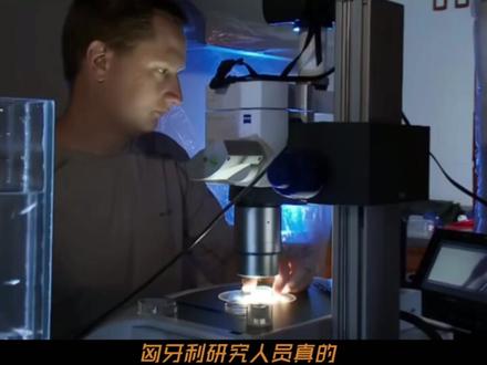 为什么野外的坑会自己有鱼 山里挖个坑不放鱼,自己会长出鱼来吗?#科普 #鱼 #生物科普 #科普冷知识#青年创作者成长计划