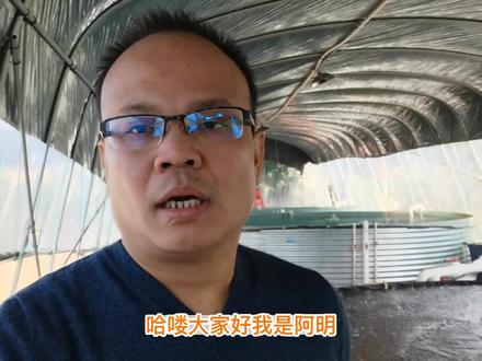 #新农人#循环水 #高密度养殖 氨氮亚盐如何处理?#水产养殖 @抖音小助手