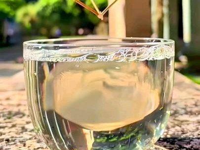 啵啵蜗牛#文荒推荐 #爽文 #炒鸡好看小说 #第五人格 #二次元