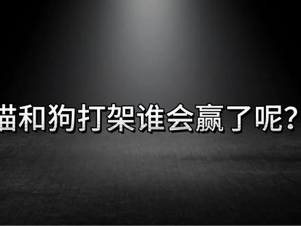 猫和狗打架谁会赢了呢?
#猫知识 #动物的感情超乎我们的想象 #喵星人 #谁能拒绝傻憨憨的小猫咪 #有趣的动物