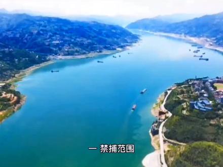 ,西充县内哪些水域可以钓鱼,哪些水域不能垂钓!#钓鱼人 #钓鱼那些事 #原创视频 渔具店