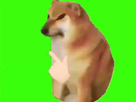 八格牙路纯享版#猫meme#搞笑#万恶之源 #抽象#一定要看到结尾