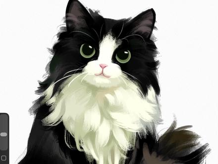 奶牛猫详细铺色教程来啦 #procreate绘画 #零基础学画画 #绘画 #奶牛猫