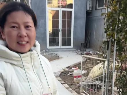 回应网友|1.虞美人花种怎么种2.抽幸运朋友送花种!#传递温暖 #虞美人 #花园生活 #母女日常 #你的家乡有这种植物吗