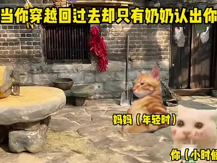 当你穿越回过去却只有奶奶认出你#猫meme #回到过去