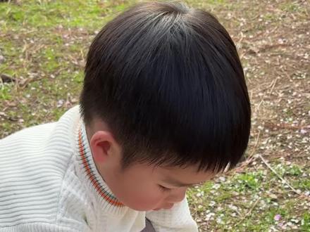 梅园探春|带娃去捡一整个春天🌸
自然游戏—梅花贴画
👉 【游戏准备】
①纸、笔,画出枯树枝
②掉落的梅花和双面胶
🤔 【玩中学】
✨锻炼手指精细动作
🥳调动五感,滋养美感
‼️ 温馨提示
⚠️ 不要摘取正在盛开的花朵哦
👏孩子需要的不是昂贵的教具,而是闻一朵花的香气、捡一片花瓣的温柔、贴一幅画的专注。
这个周末,趁梅花还没谢,带孩子去树下捡捡春天吧
#自然游戏 #自然教育 #自然教育亲子游戏 #户外 #梅花