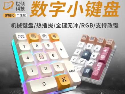 数字小键盘改键教程,可以自定义按键功能,增加了音乐律动
#数字小键盘 #数字机械键盘 #世倾科技