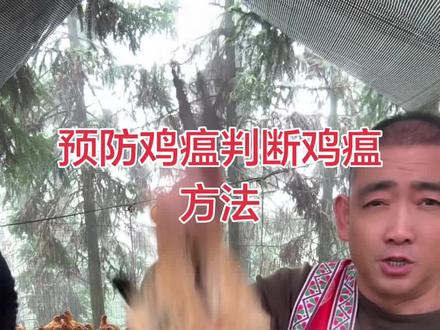 每瓶喂400至800只鸡,每天两次喂5至6天管3个月#服务三农支持三农