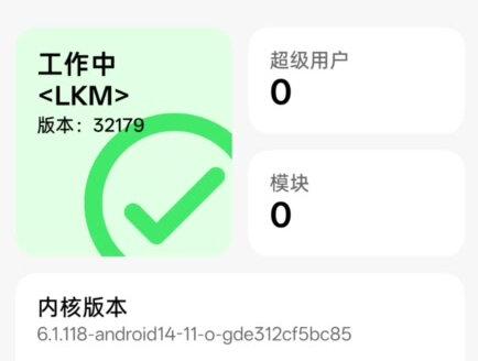 过春秋检测教程 过不去回家种地#春秋检测 #root #简朕