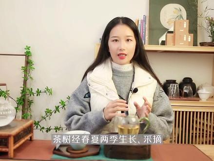 秋茶值得收藏吗?为什么说秋茶值得性价比更高呢?#茶知识 #秋茶 #普洱茶 @DOU+小助手