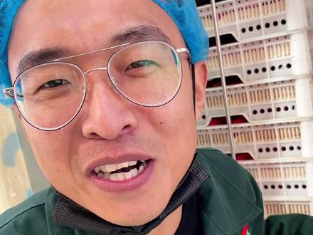 草莓要怎样包装才能安全的快递到你的嘴里呢#草莓 #丹东草莓