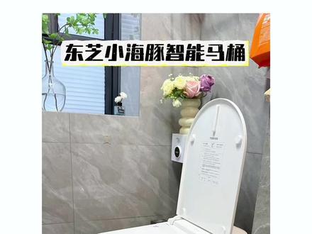 这款智能马桶是一定来报恩的~#东芝智能马桶 #东芝小海豚415