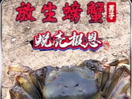 好心的男子放生一只重生的螃蟹!#放生 #神奇动物在抖音 #万物皆有灵 #感人 #动物救助@DOU+小助手 @DOU+上热门 @抖音小助手