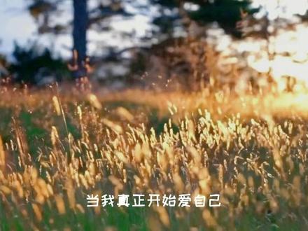 《当我真正开始爱自己》——卓别林#读书 #读书分享 #治愈自己 #情感