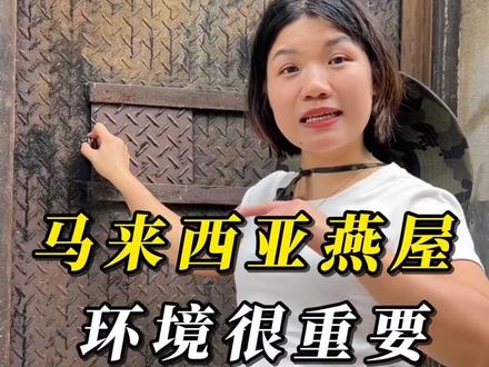 走进马来西亚燕屋内部! 在马来西亚养燕,不是把屋子盖起来就行了。金丝燕对“温”和“湿”非常挑剔。
控制好了,燕农有丰收;控制不好,收成很少。
#马来西亚 #燕窝 #燕窝知识 #金丝燕 #燕屋管理