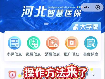 500块你们有到手的了吗?我已提交等等看能不能申请通过吧#河北分娩补贴 #申领流程