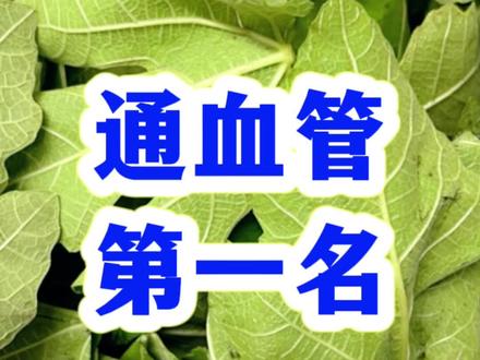 血管不通,桑叶搭配一物,给血管洗洗澡