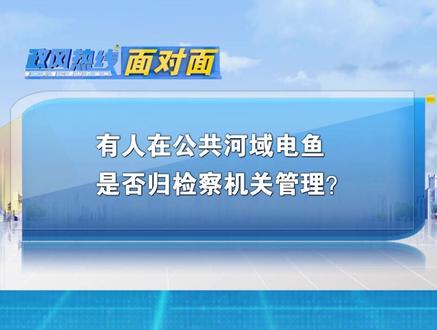 有人在公共河域电鱼 是否归检察机关管理?