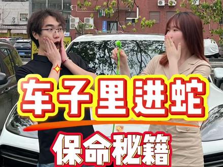 车里经常有小动物进出?一招教会你 #二手车 #汽车知识 #剧情 #干货分享 #用车知识