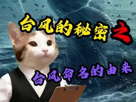 困扰多年的疑惑终于解开了,原来台风是这样命名的#创作灵感 #台风巴威#台风巴威实时路径 #猫meme #台风命名