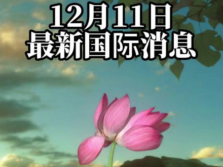 12月11日最新国际消息(7) #国际新闻热点 #国际局势分析