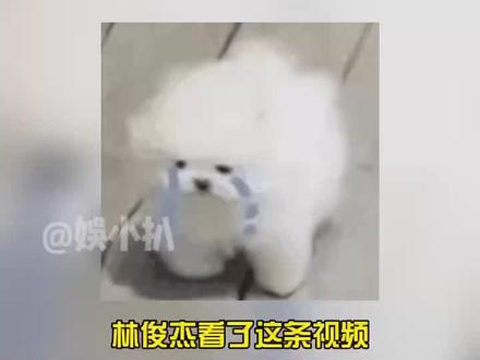 你小子徐俊大啊#搞笑 #精神状态 #娱乐评论大赏 (来源:@阿K. )
